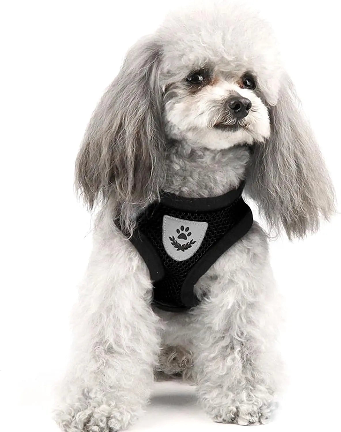 Cat Chest Harness and Leash Set – Summer Mesh, Anti-Escape, Adjustable – Size S Black for All Cats