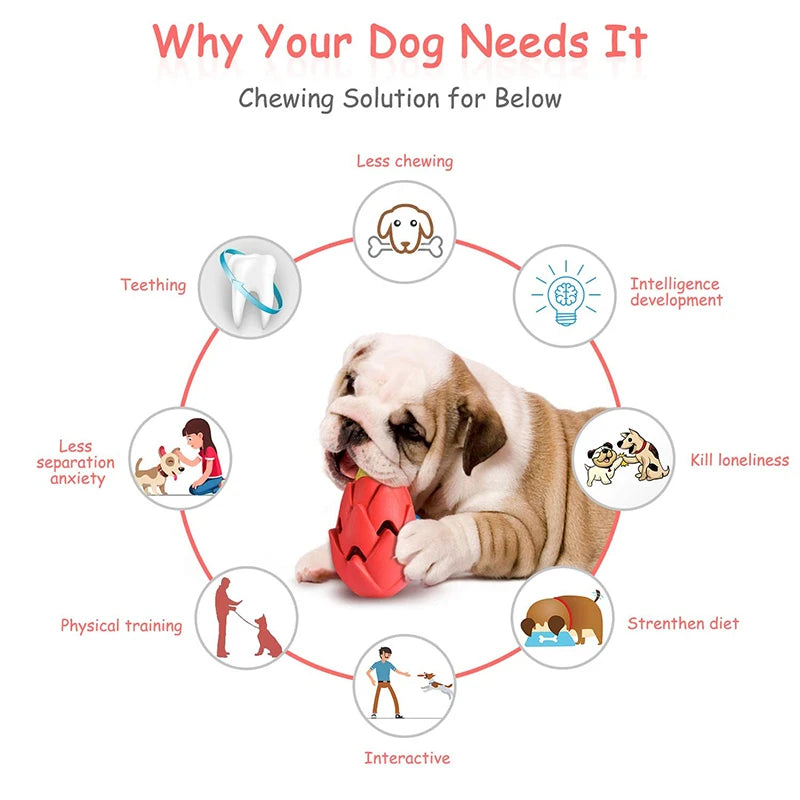 Benepaw Indestructible Pitaya Dog Chew Toys For Small Medium Large Breed Safe Teething Interactive Puppy Treat Toys Pet Play