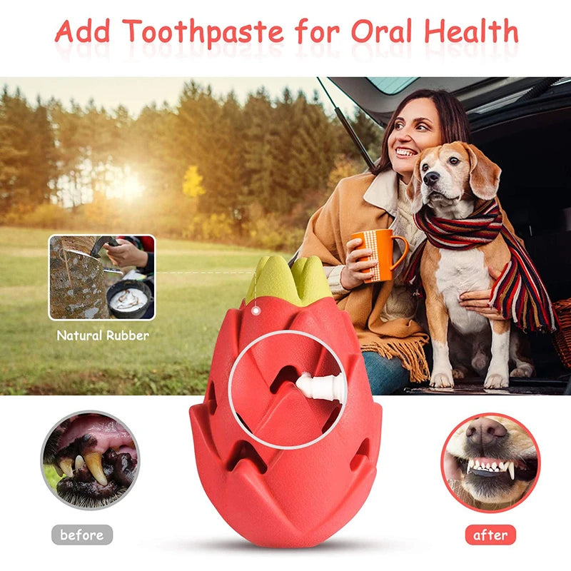 Benepaw Indestructible Pitaya Dog Chew Toys For Small Medium Large Breed Safe Teething Interactive Puppy Treat Toys Pet Play