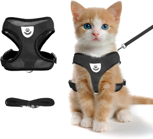 Cat Chest Harness and Leash Set – Summer Mesh, Anti-Escape, Adjustable – Size S Black for All Cats