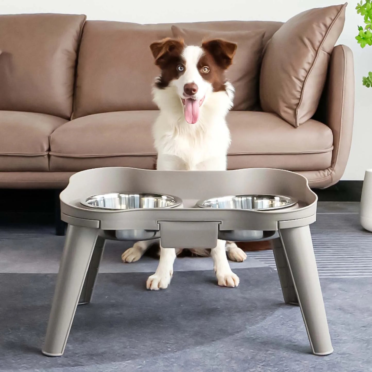 Raised Stand Elevated Dog Feeder Easy to Use and Store Feeder Eating Bowls Suitable for Promote Healthy Digestion Dropshipping
