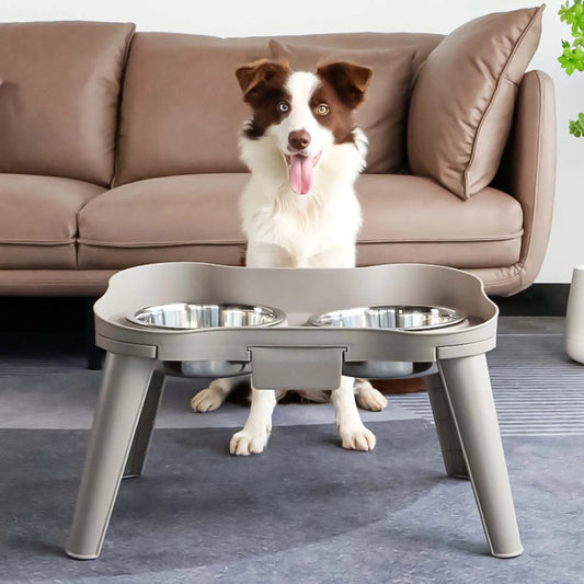 Raised Stand Elevated Dog Feeder Easy to Use and Store Feeder Eating Bowls Suitable for Promote Healthy Digestion Dropshipping