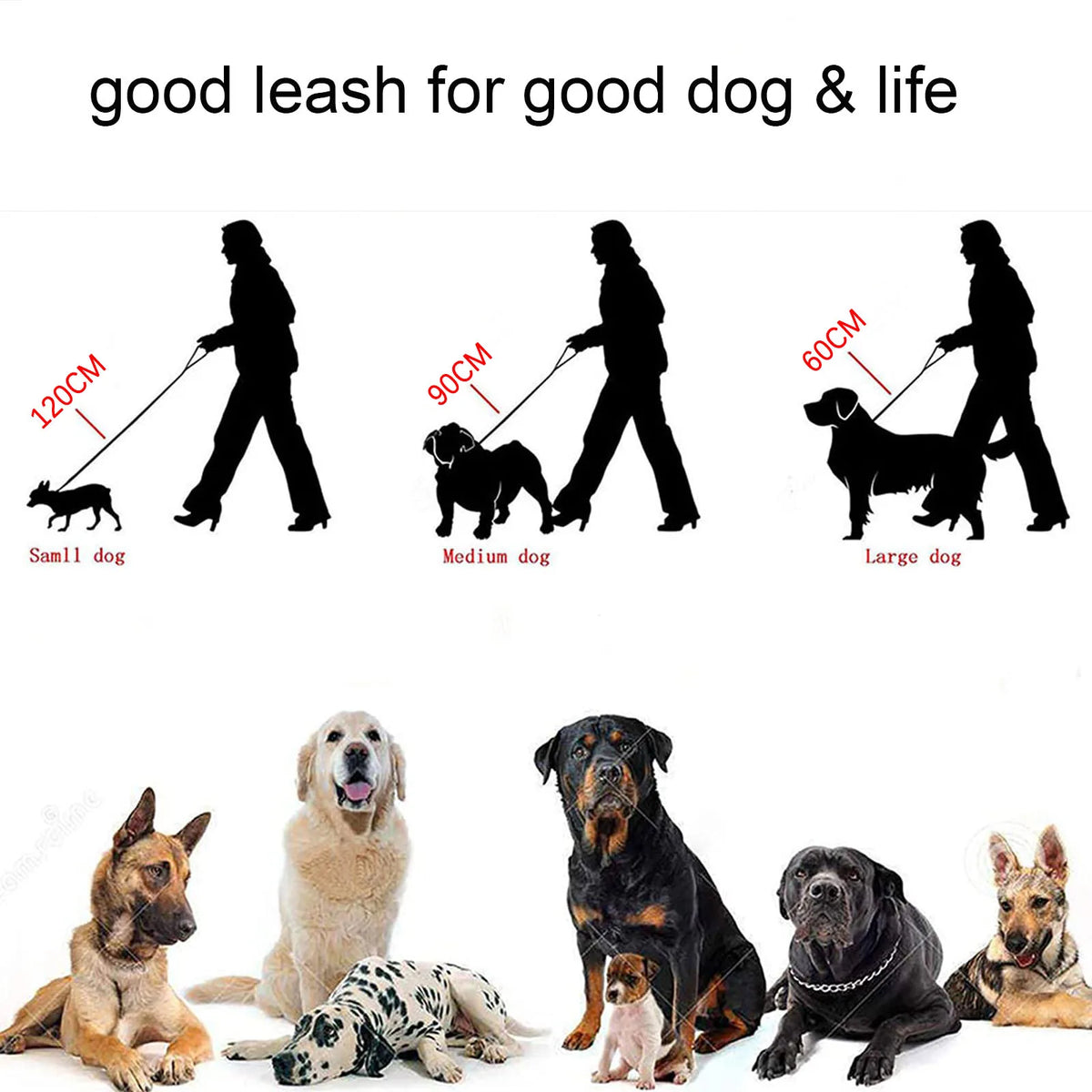 10MM Stainless Steel Chain Dog Leash Metal Chew Proof Pet Leash Chain Golden with Leather Padded Handle for Large Medium Dogs