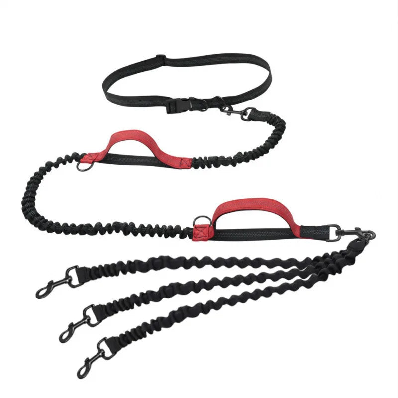 One-to-Three Belt Leash for Multiple Dogs Removable Elastic Telescopic Dog Leash Pet Supplies for Easy Outdoors Control
