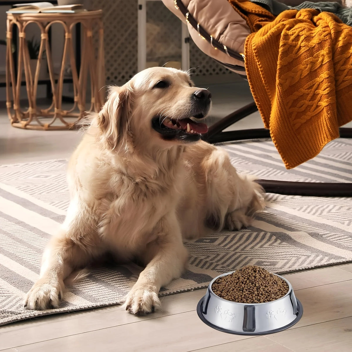6Pcs Stainless Steel Dog Cat Bowls Non‑Slip Rubber Base Paw Print Pet Food Water Bowls for Small Medium Pets Durable Pet Supplie