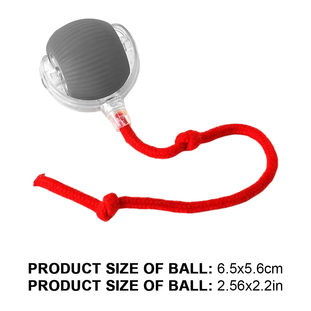 Caterpillar Teasing Cat Toy Motion Activated Kitten Toy Rechargeable Automatic Interactive Cat Toy with Tail for Indoor Cat