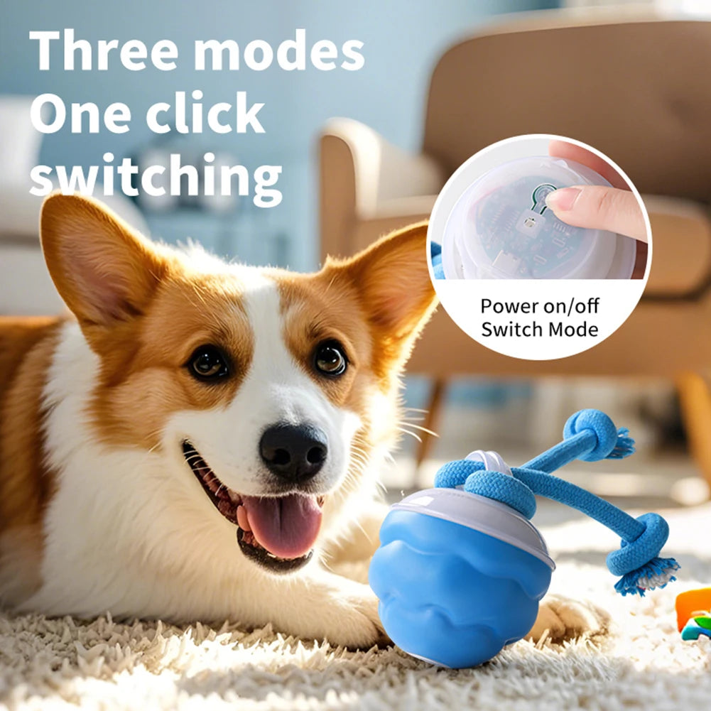 Interactive Dog Toys Ball Electric Rolling Ball with Rope Automatic Bouncing Ball USB Rechargeable Pet Exercise Toy Pet Supplies
