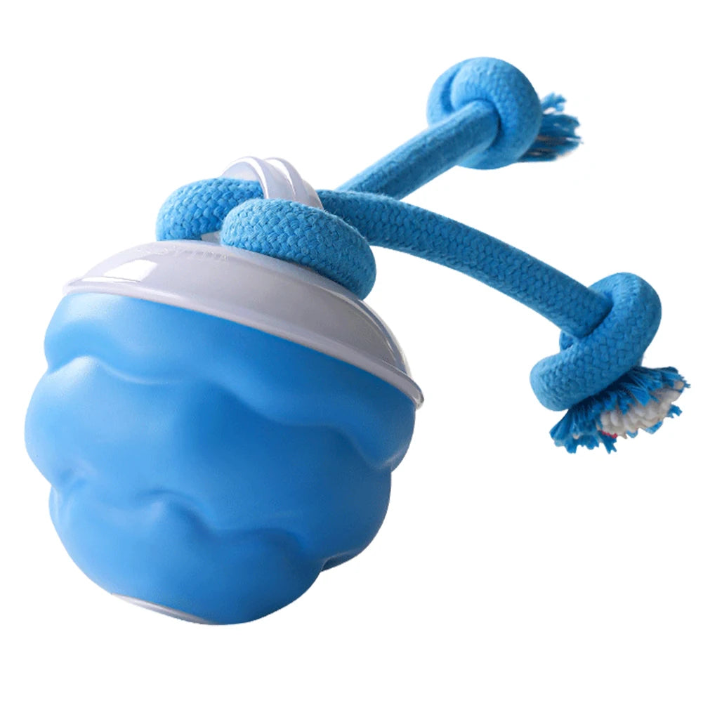 Interactive Dog Toys Ball Electric Rolling Ball with Rope Automatic Bouncing Ball USB Rechargeable Pet Exercise Toy Pet Supplies