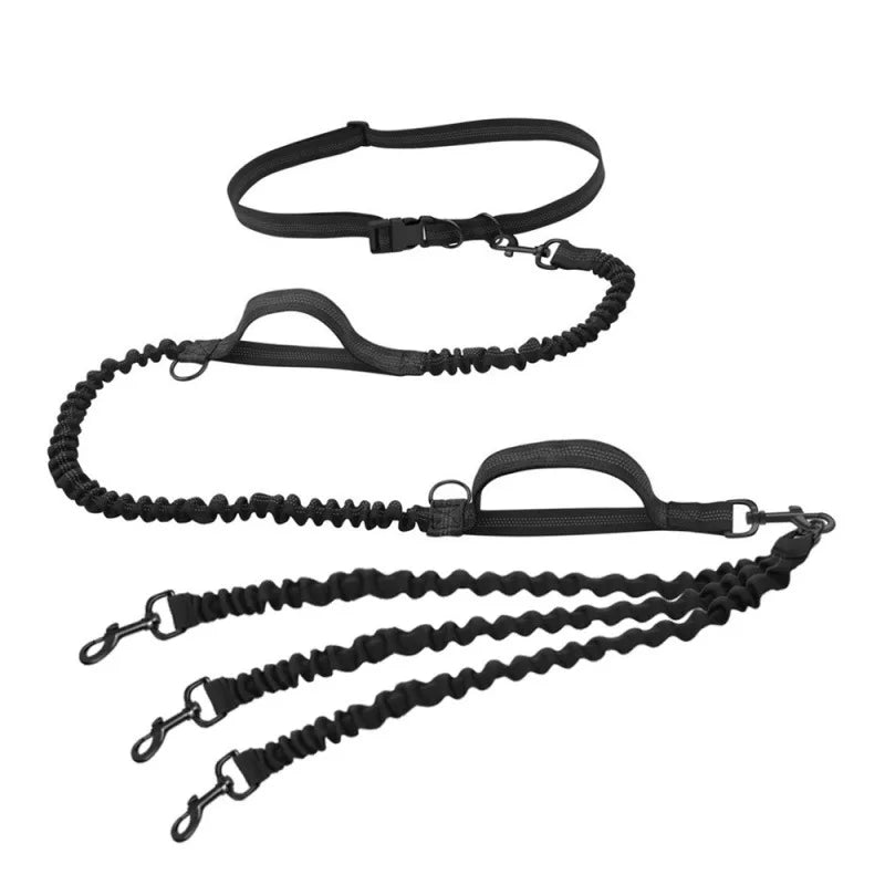 One-to-Three Belt Leash for Multiple Dogs Removable Elastic Telescopic Dog Leash Pet Supplies for Easy Outdoors Control
