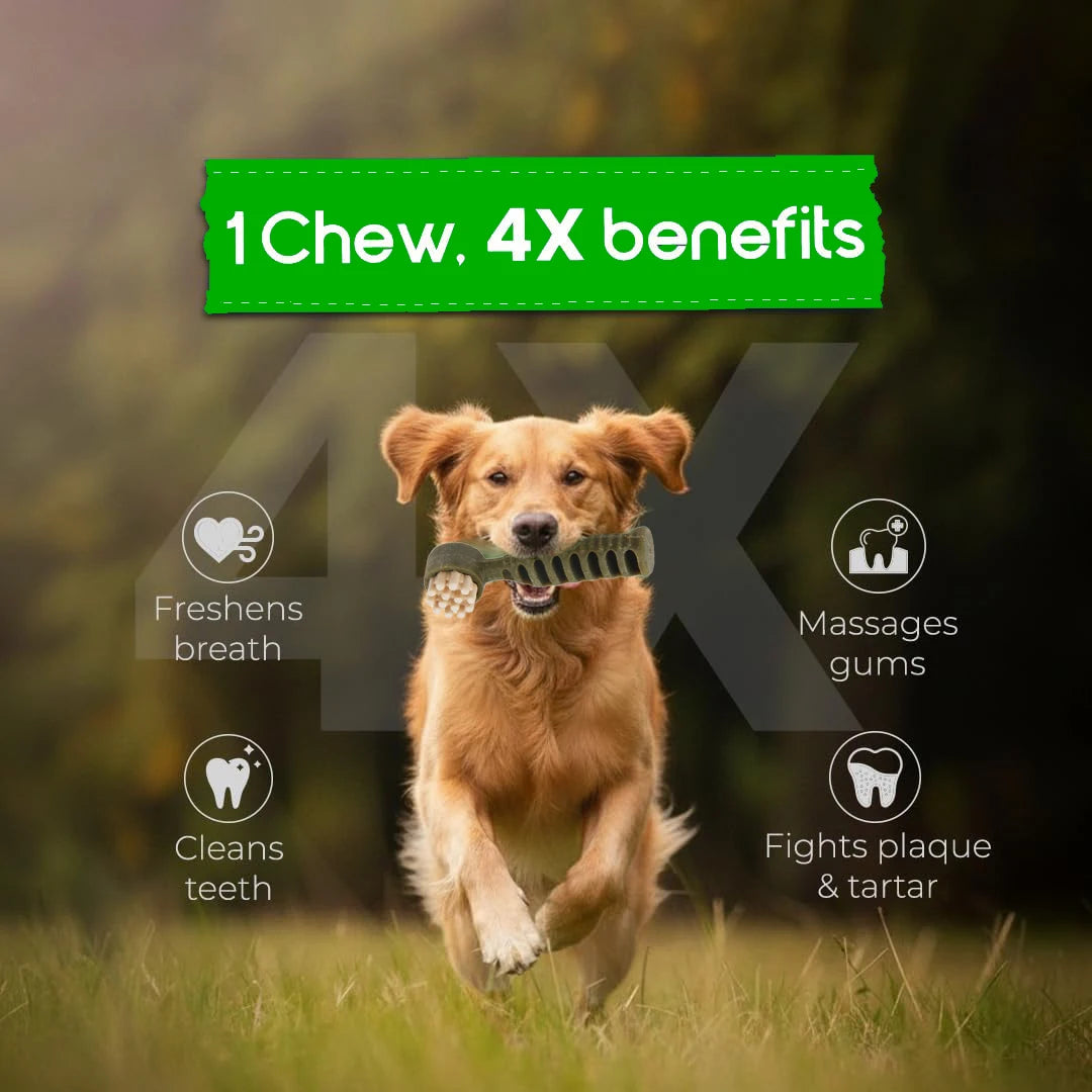 Dental Chews for Dogs, Vet-Recommended Mint & Tea Flavored Dental Dog Treats for Small Dogs, Bones Clean Teeth, Fight Bad Breath