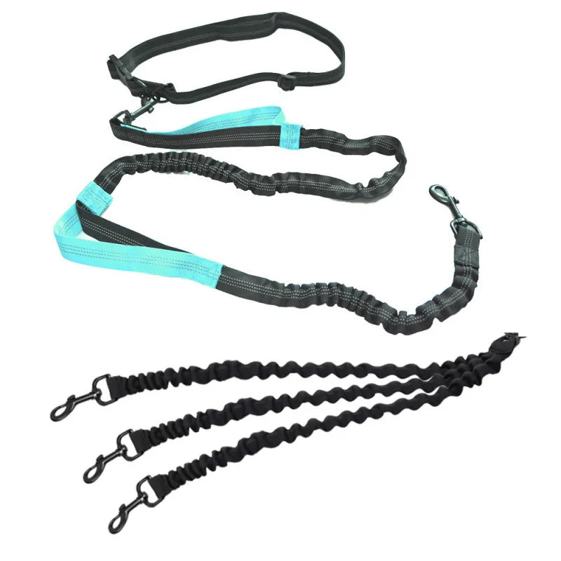 One-to-Three Belt Leash for Multiple Dogs Removable Elastic Telescopic Dog Leash Pet Supplies for Easy Outdoors Control