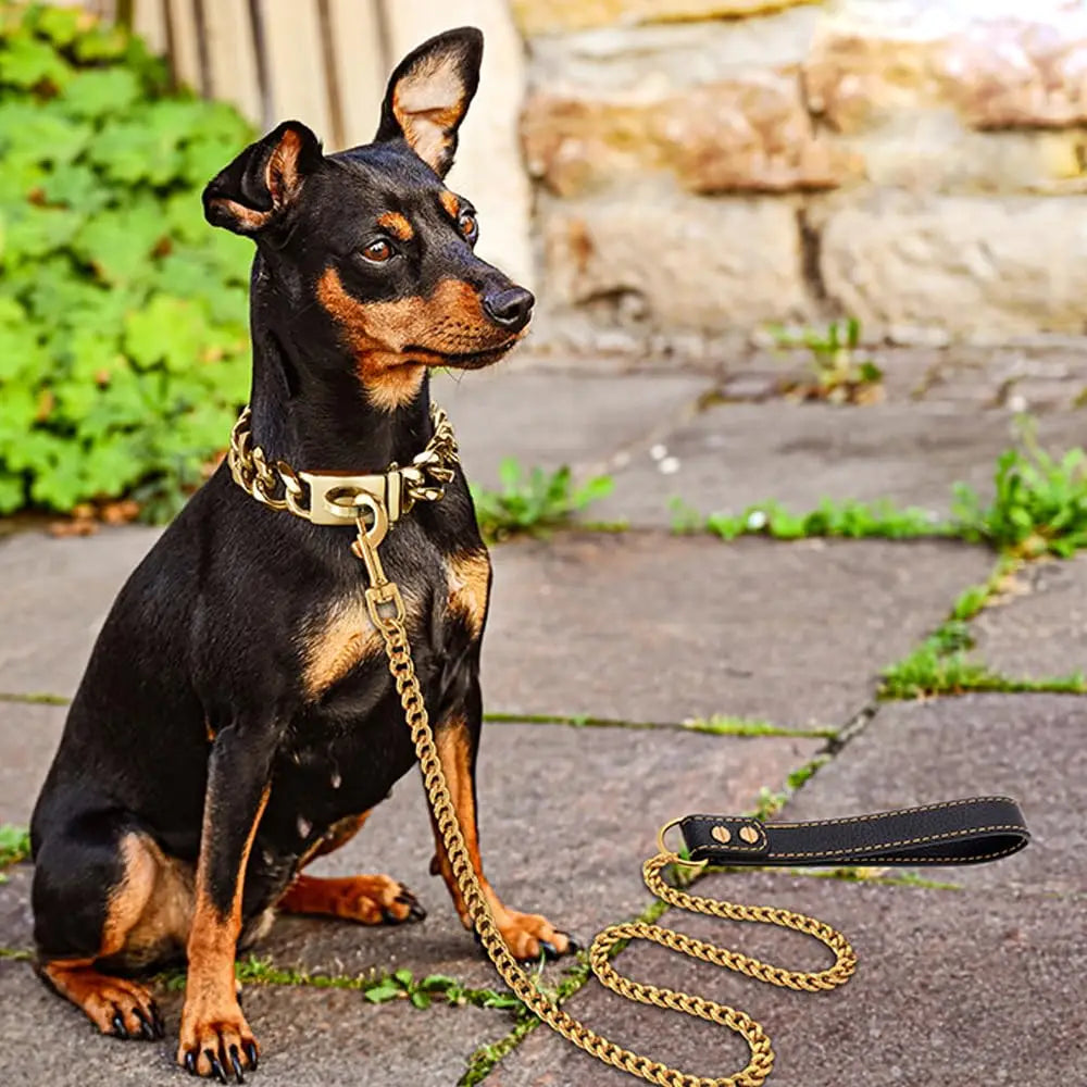 10MM Stainless Steel Chain Dog Leash Metal Chew Proof Pet Leash Chain Golden with Leather Padded Handle for Large Medium Dogs