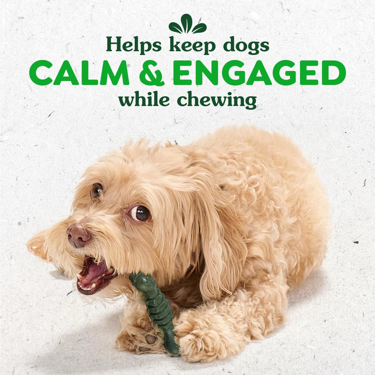 Dent Fresh Dog Treats, Peppermint Flavor Dental Toothbrush with Chlorophyll & Peppermint, Helps Clean Teeth & Healthy Gums