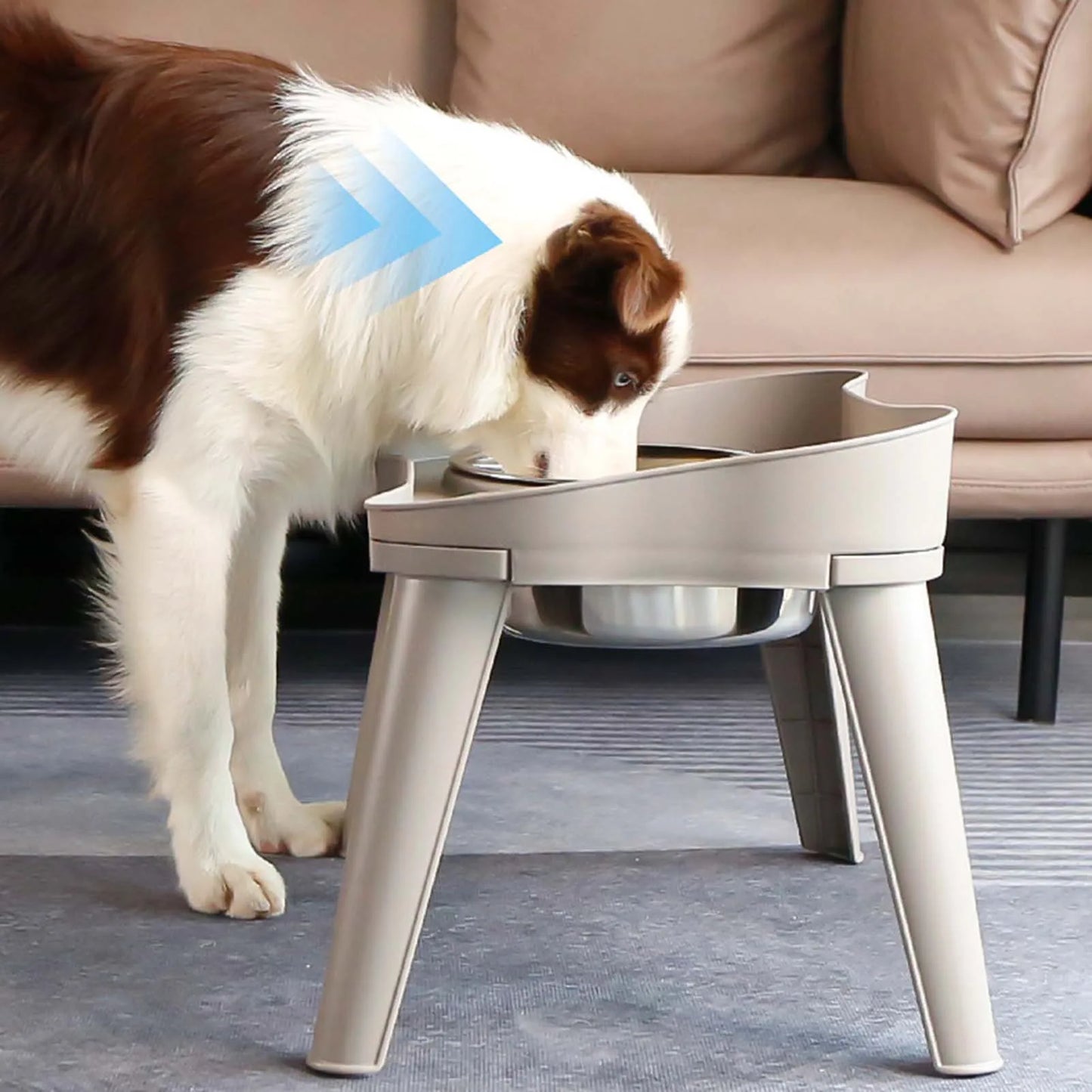 Raised Stand Elevated Dog Feeder Easy to Use and Store Feeder Eating Bowls Suitable for Promote Healthy Digestion Dropshipping
