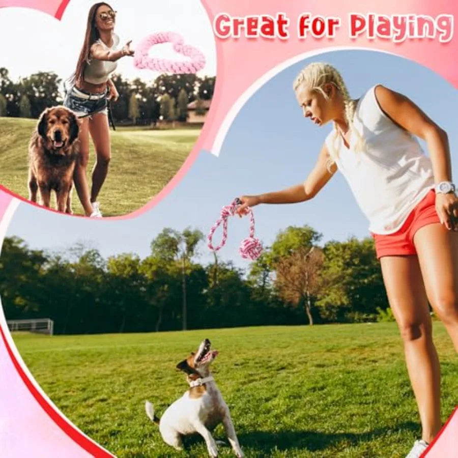 25 Pcs Valentines Dog Toys Set Tennis Balls Squeaky Bone Rope Plush Toys for Puppy Pet Valentine Gifts Red Blue-xq