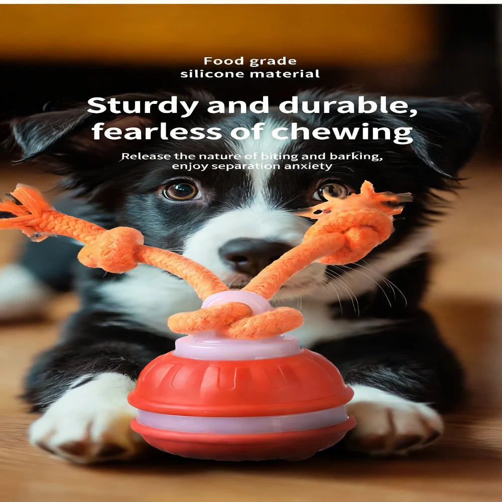 Dog Ball Toys Touch Activated, Rechargeable, Squeaky Dog Toy, Interactive Moving Ball for Pup with Rope for Medium Small Dogs Pu