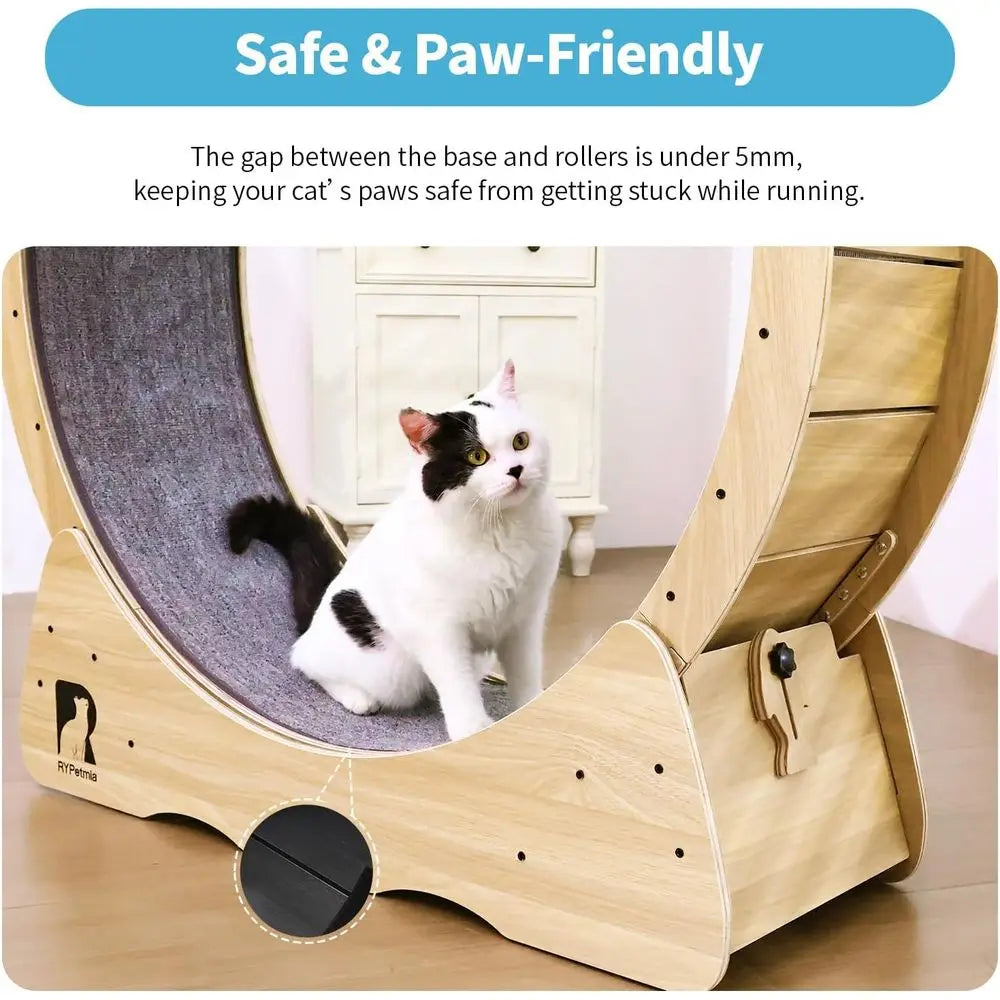Indoor Silent Cat Exercise Wheel, 43 Non-Tip, Supports Up to 55 lbs, Easy Assembly