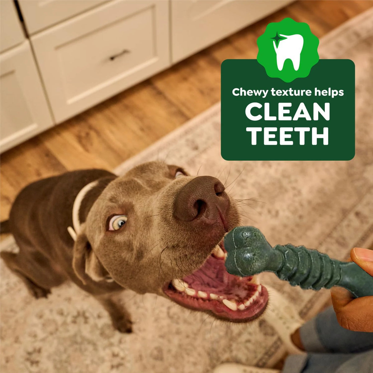 Dent Fresh Dog Treats, Peppermint Flavor Dental Toothbrush with Chlorophyll & Peppermint, Helps Clean Teeth & Healthy Gums