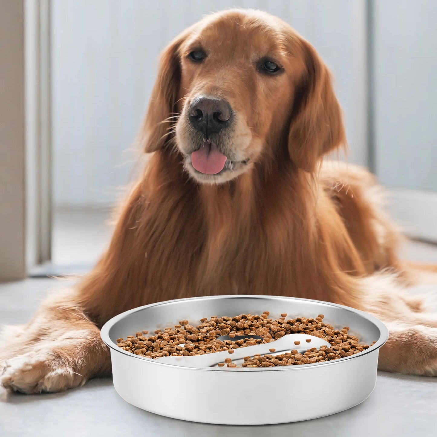 304 Stainless Steel Pet Dog Slow Feeder Bowl W/ Non-Slip Mat Dog Water Bowl Anti-Choking Pet Food Bowls for Small & Medium Dogs