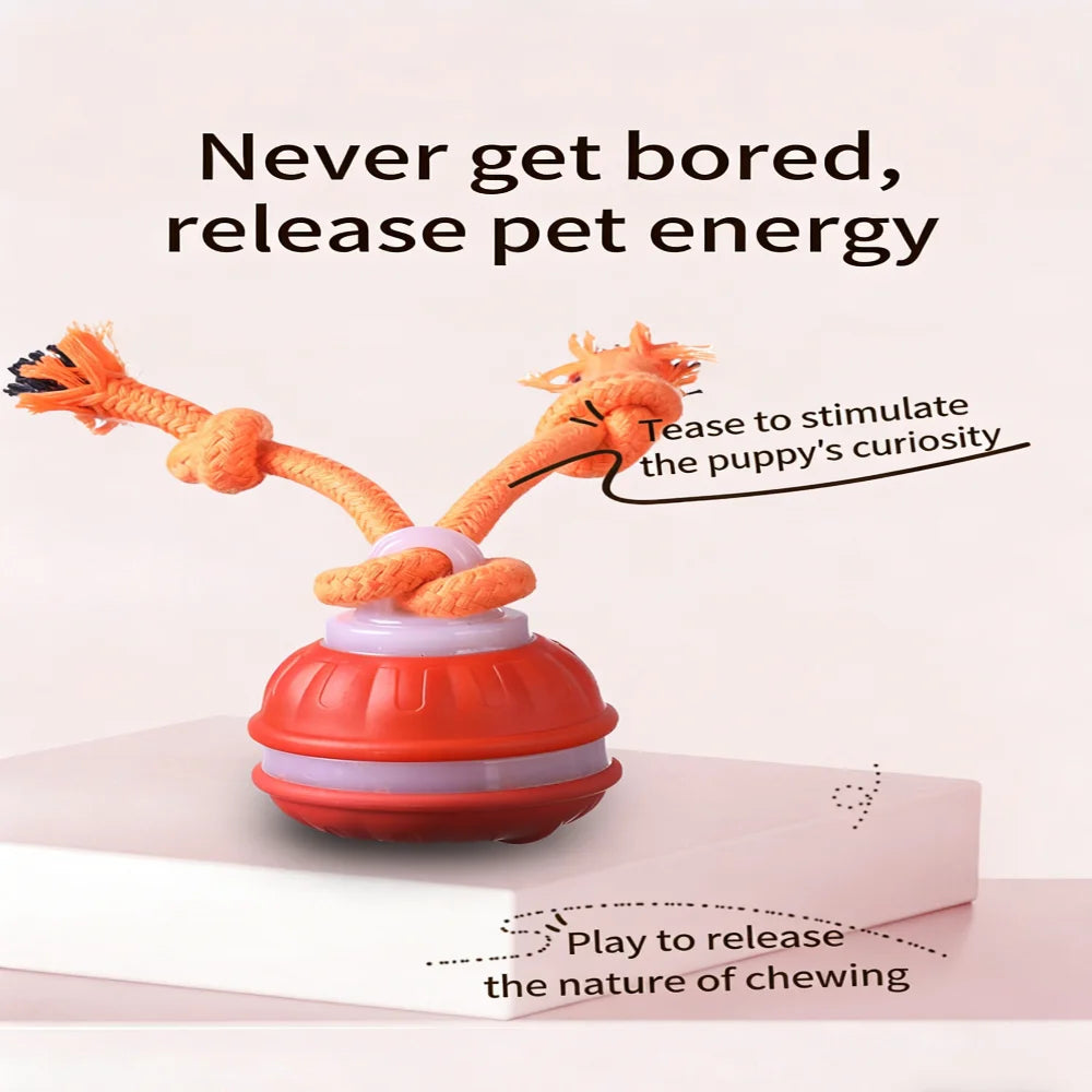 Dog Ball Toys Touch Activated, Rechargeable, Squeaky Dog Toy, Interactive Moving Ball for Pup with Rope for Medium Small Dogs Pu