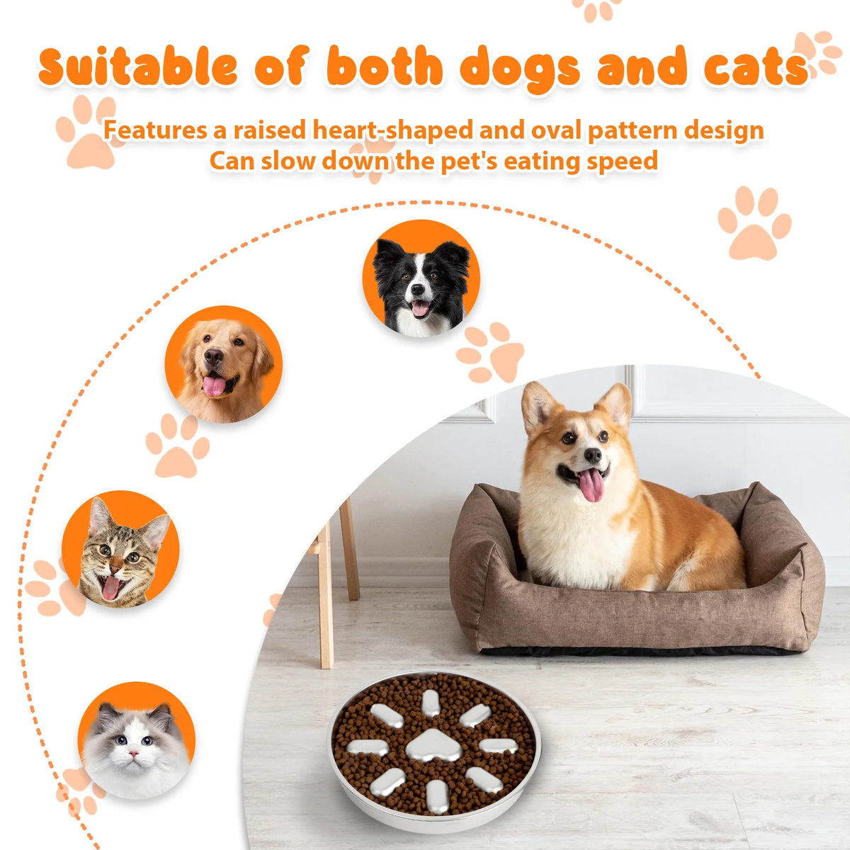 Stainless Steel Slow Feeder Dog Bowls Pet Anti Choking Spine Protection Double Sided Use anti Overturning Cat Bowl