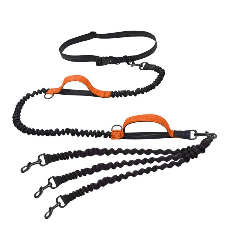 One-to-Three Belt Leash for Multiple Dogs Removable Elastic Telescopic Dog Leash Pet Supplies for Easy Outdoors Control