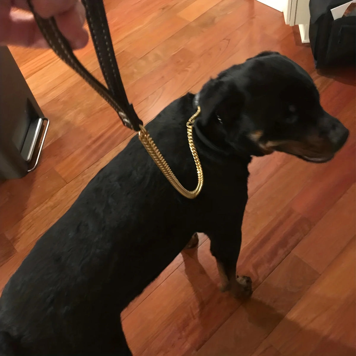 10MM Stainless Steel Chain Dog Leash Metal Chew Proof Pet Leash Chain Golden with Leather Padded Handle for Large Medium Dogs