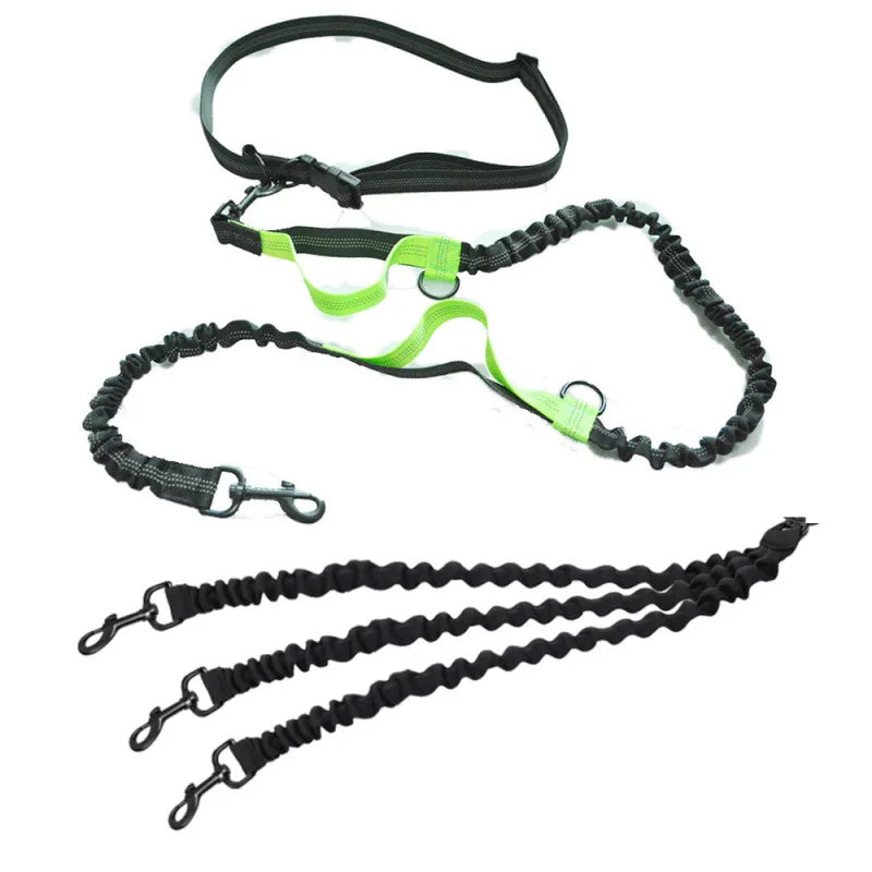 One-to-Three Belt Leash for Multiple Dogs Removable Elastic Telescopic Dog Leash Pet Supplies for Easy Outdoors Control