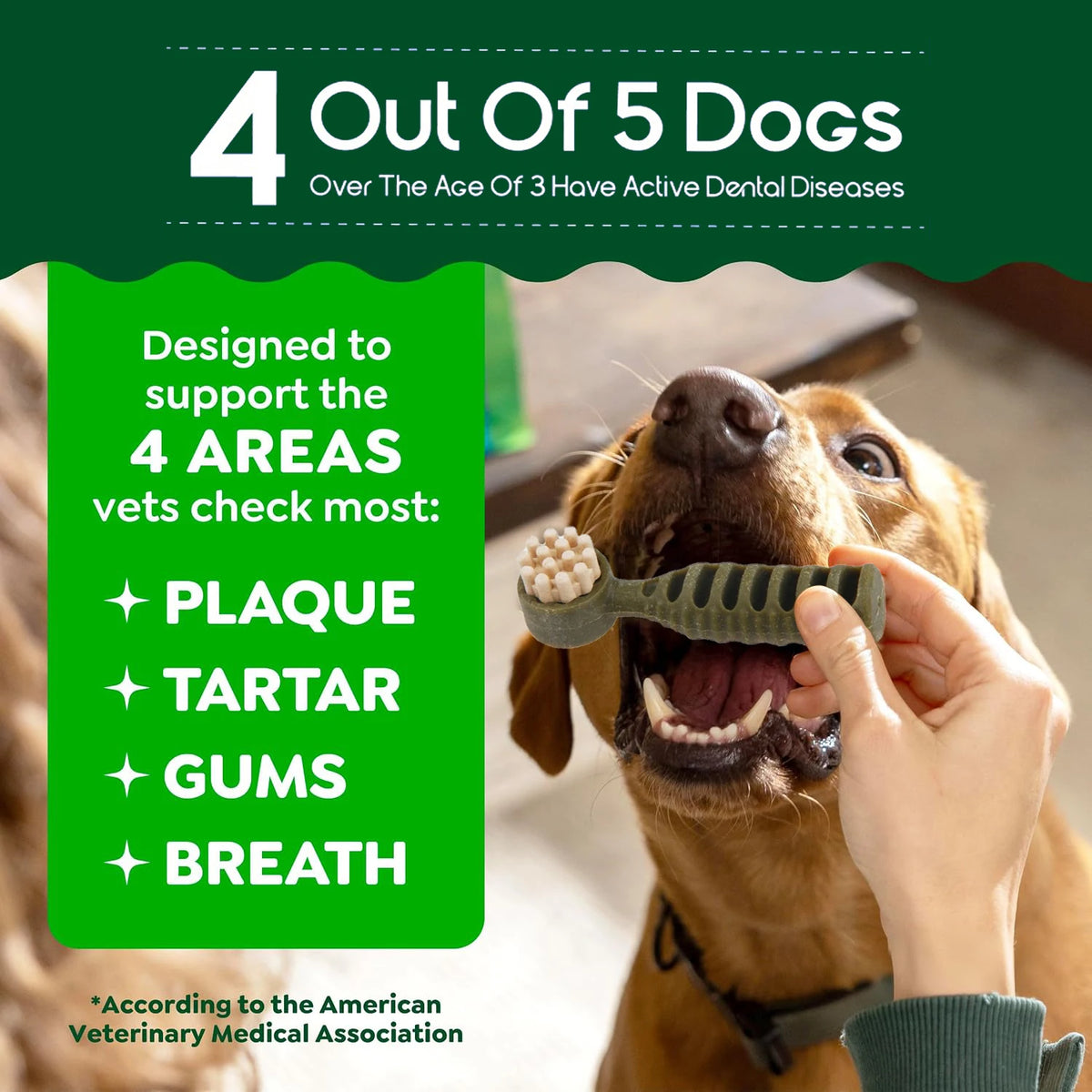 Dental Chews for Dogs, Vet-Recommended Mint & Tea Flavored Dental Dog Treats for Small Dogs, Bones Clean Teeth, Fight Bad Breath