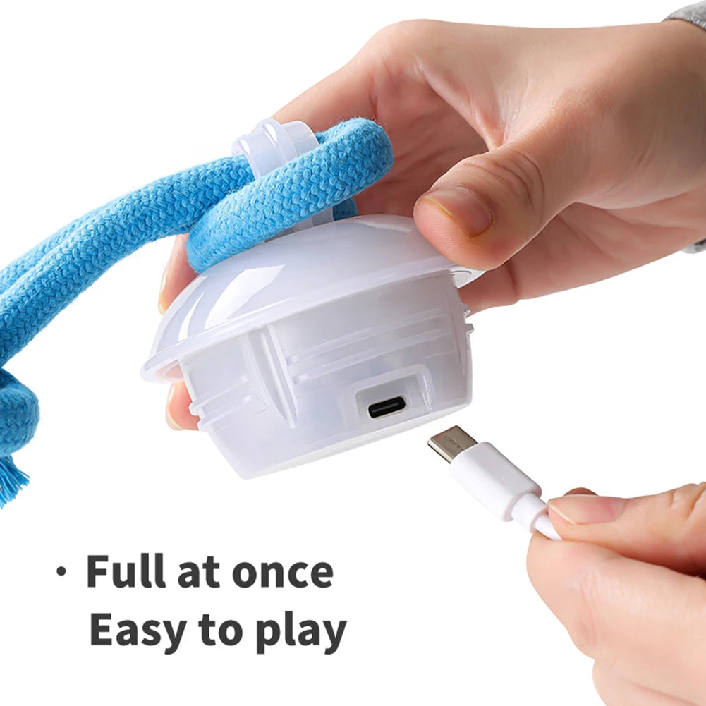 Interactive Dog Toys Ball Electric Rolling Ball with Rope Automatic Bouncing Ball USB Rechargeable Pet Exercise Toy Pet Supplies